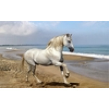 Wholesale Lenticular 3D Horse Pictures